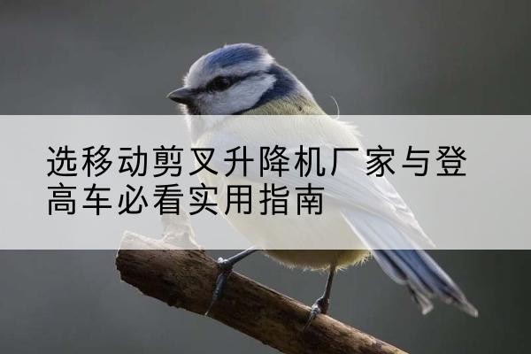 英德电动升降机厂家-选移动剪叉升降机厂家与登高车必看实用指南