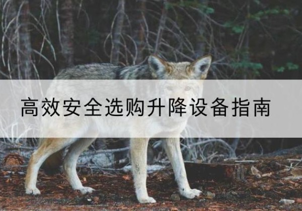英德升降货梯厂家推荐-*安全选购升降设备指南